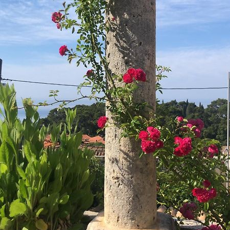 Villa Anica Dubrovnik - Luxurious With A Sea View Eksteriør bilde