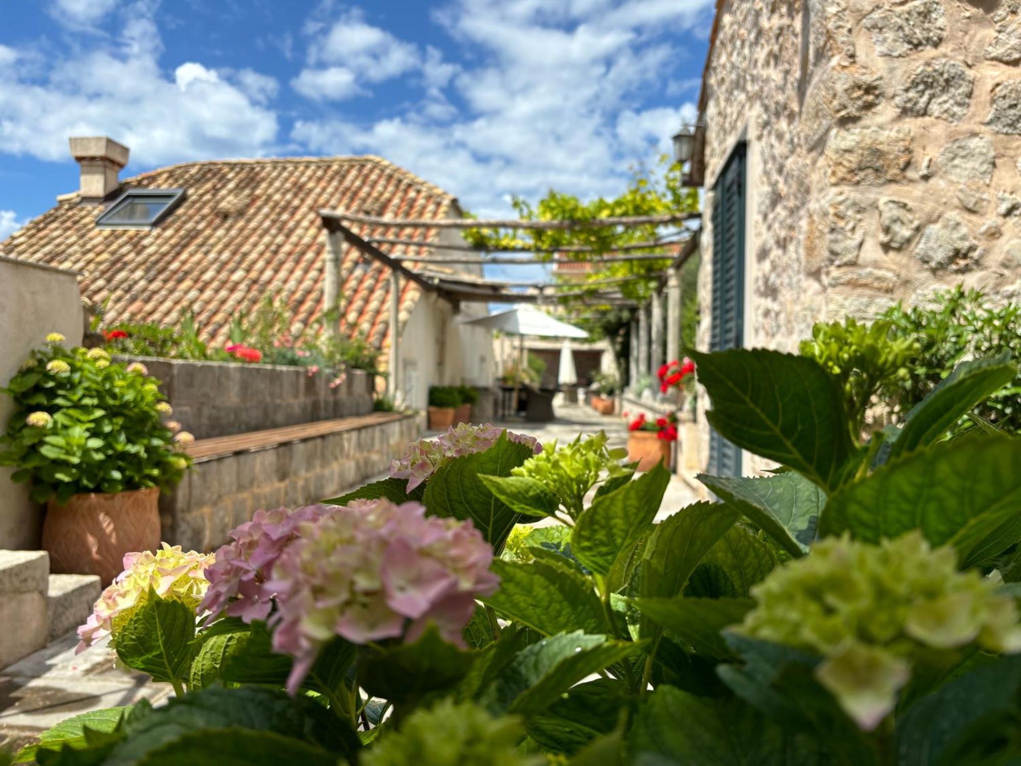 Villa Anica Dubrovnik - Luxurious With A Sea View Eksteriør bilde