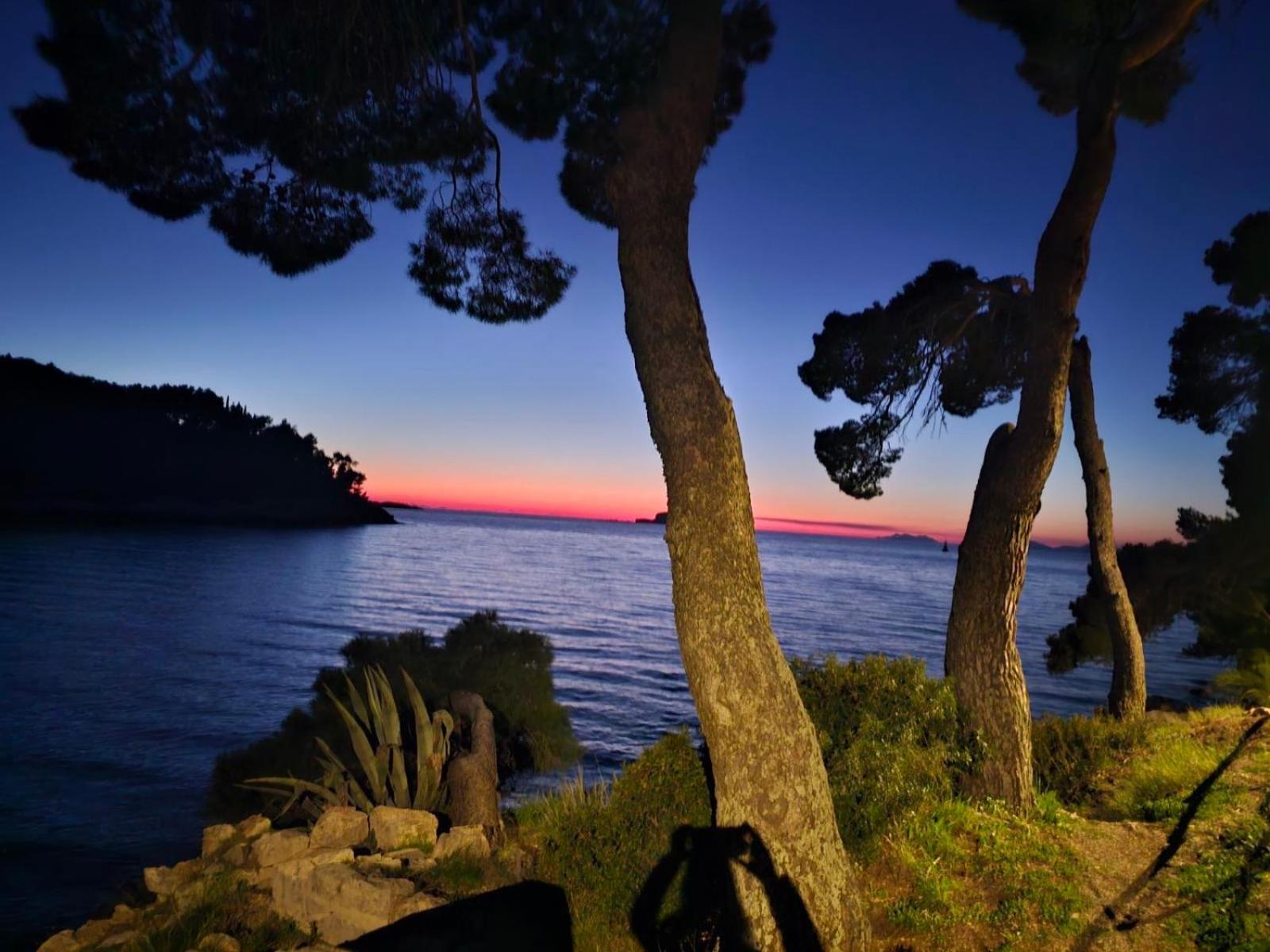 Villa Anica Dubrovnik - Luxurious With A Sea View Eksteriør bilde